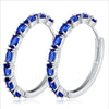 Oval Zircon Earrings 1