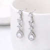 Sparkling Zircon Drop Earrings 1