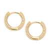Full Zircon Hoops 2