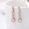 Sparkling Zircon Drop Earrings 2