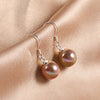 All-matching Opal Ear Hook 925 Sterling Silver Shell Pearl Earrings High-grade Female Earrings 3